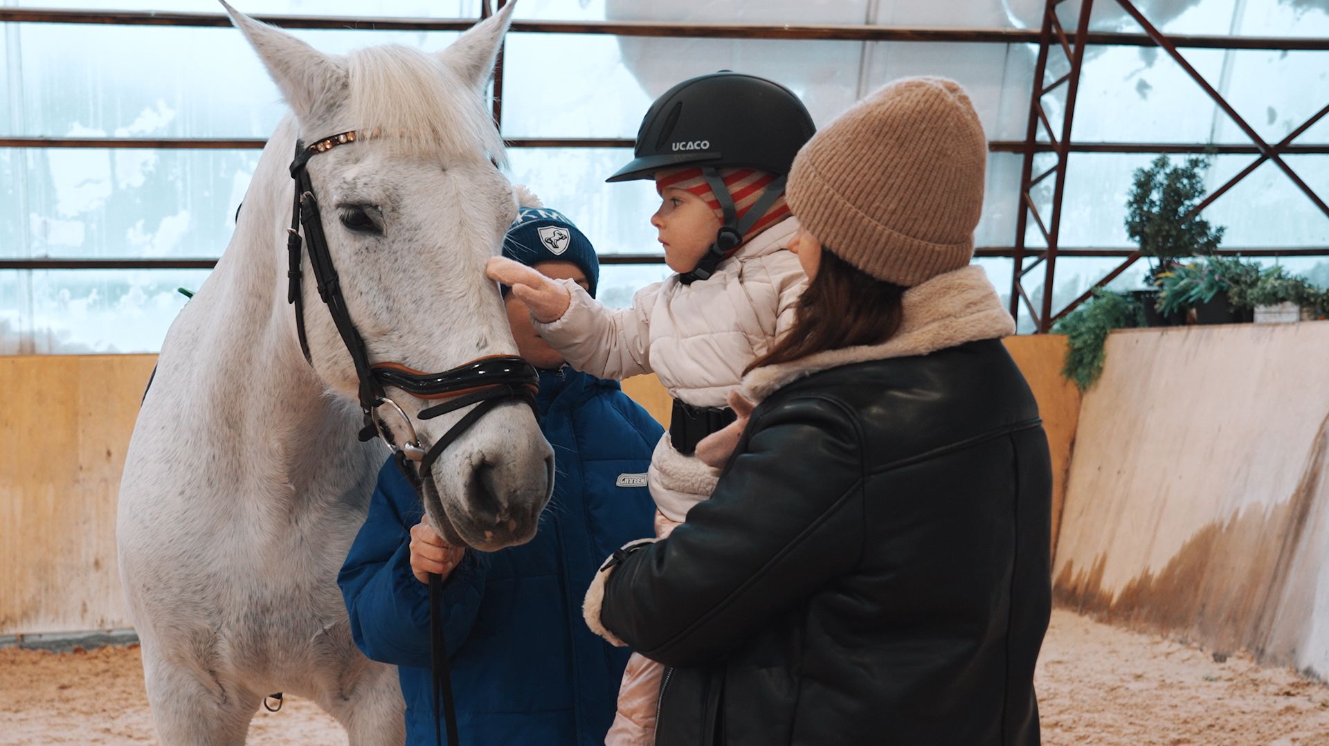 Как конь Плюша помогает детям смотреть онлайн