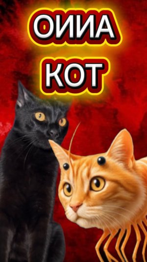 ОИИА кот в реальной жизни 🙀 #кот #кошка #котики #животные #оииакот