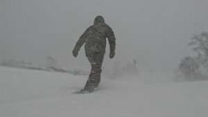 Метель. Николаевск-на-Амуре. 17.12.2025