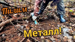 Откопал рельсу, нашёл цветмет и драгметаллы!