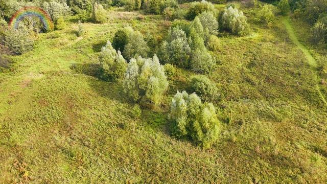 участок марфино смотреть онлайн