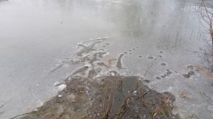 Пруд замерз, карасики спят.