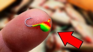 ОПУСТИЛ ЭТО В ЛУНКУ и НАЧАЛОСЬ! Хитрая мормышка ВЫДАЛА ЖОР! Зимняя рыбалка 2025-2026