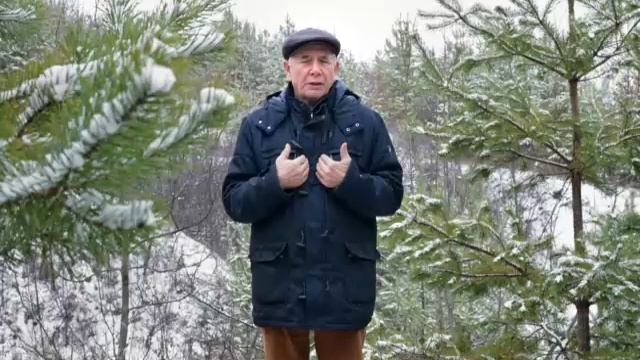 06 Бальзам для позвоночника. Станислав Лосев_ Снятие негативных программ смотреть онлайн