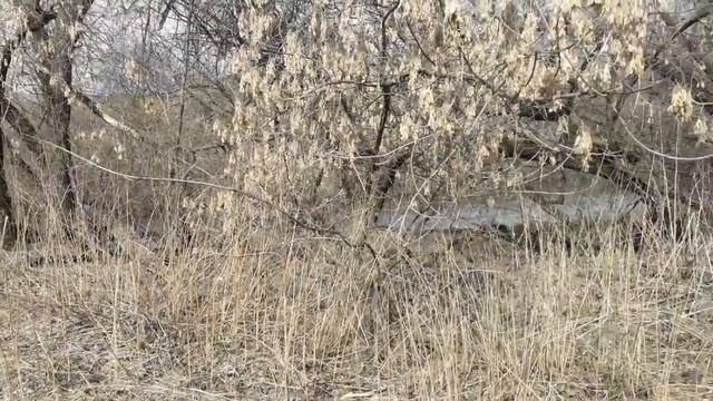 Новые монетки в копилку