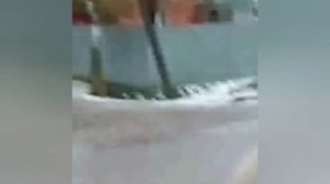 Троицкий скот