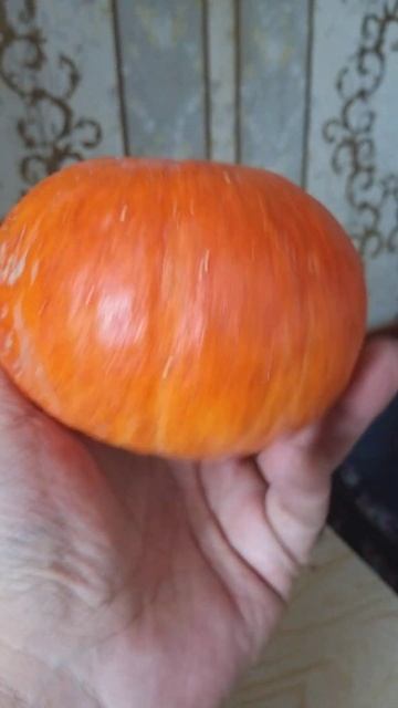 10 февраля 2024 г. смотреть онлайн