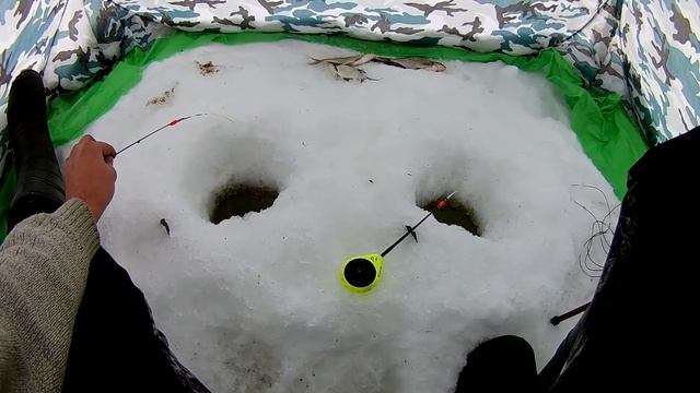 НАКОНЕЦ-ТО ПОКЛЕВКИ !!! ЛОВИМ БЕЛЬ ! И АНТИРЕКОРД ПО ОКУНЮ ! Зимняя рыбалка