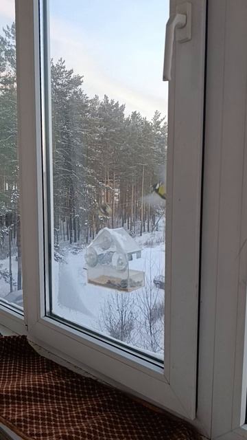 Синички. Из лесу вестимо смотреть онлайн