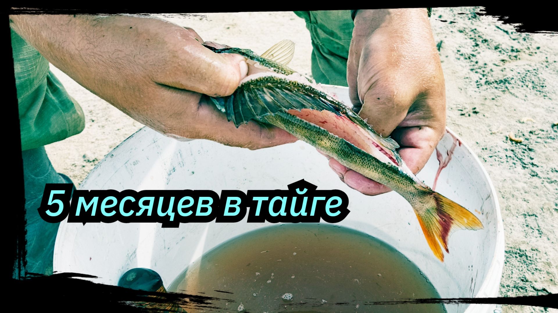 5 МЕСЯЦЕВ в ТАЙГЕ. р. Тым, с. Напас, Работа, рыбалка, Окунь.  Сезон 2025 Серия № 8.