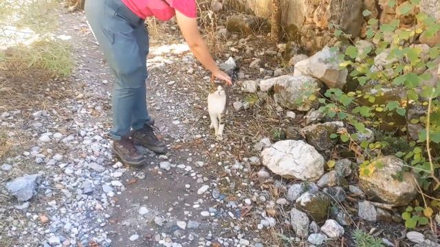 Поход по Ликийской тропе несмотря ни на что смотреть онлайн