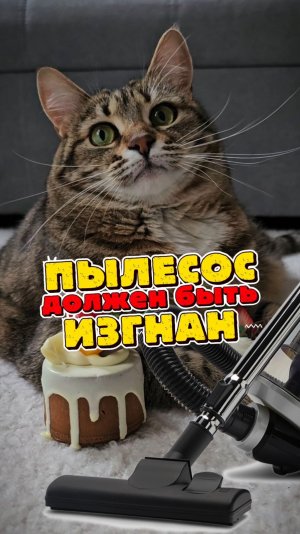 Пылесос не имеет никакой ценности и должен быть изгнан!