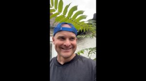 🔥🤣 ЮМОР В КРОВИ ⚡ САМЫЕ БЕЗУМНЫЕ ПРИКОЛЫ 2025 💥 ЮМОР, СКЕТЧИ, СМЕХ ДО СЛЁЗ 🤯 НАТУРАЛ АЛЬБЕРТОВИЧ