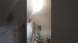 готовим пирог зебра