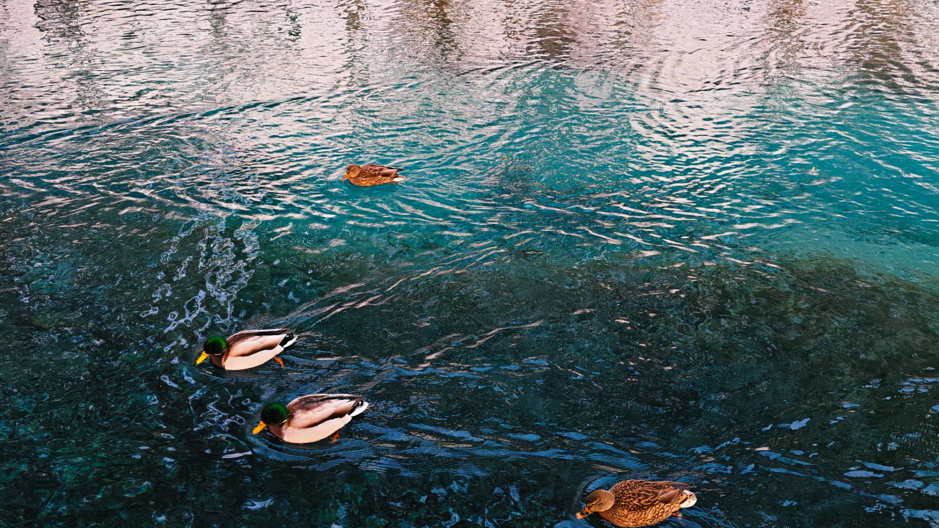 Тайны Голубых озёр: что скрывают воды под Казанью. Подробный маршрут. смотреть онлайн