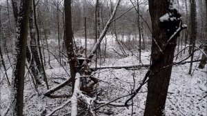 Охота на куницу. Проверка капканов на путике(Будни охотника и рыбака)