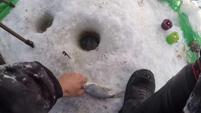 ПРАВИЛЬНО ПОДОБРАННЫЙ ПОДХОД К РЫБЕ ДАЁТ РЕЗУЛЬТАТ ! ПОДЛЕЩИК В МОРОЗ!
