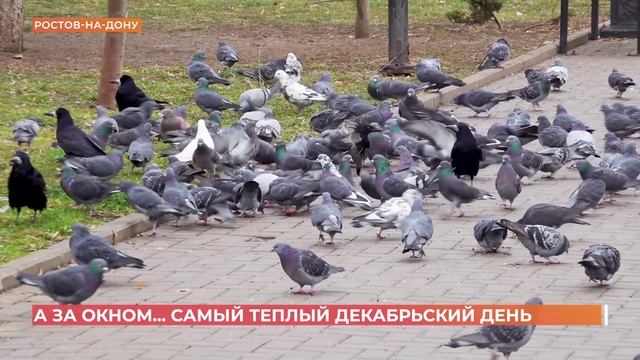 А за окном. 18 декабря 2025 смотреть онлайн