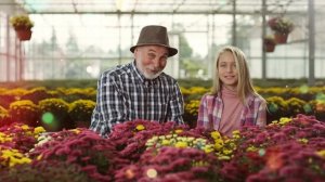 Самая добрая песня о внуках — «Дедова радость»