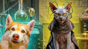 ГНУСНЫЙ КОТ МАРСИК. ВОЗРОЖДЕНИЕ!!!