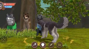 Мини фильм вилд крафт "Выделяющейся"