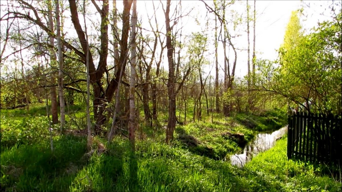 У дома соседей смотреть онлайн
