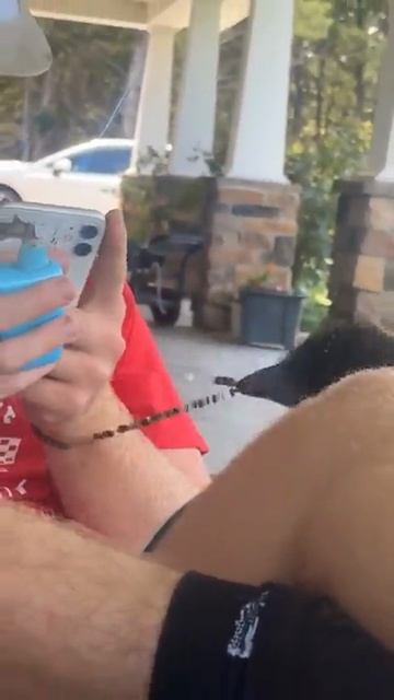 Прекрасного всем Дня и заряда Энергии