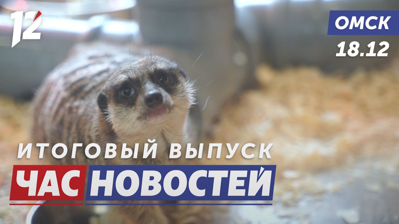 Голоса счастья из зоопарка / Космическая библиотека / Губернатор исполняет желания. Новости Омска смотреть онлайн