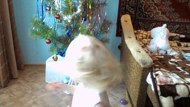 15 год Ангелочка -  Катюша!