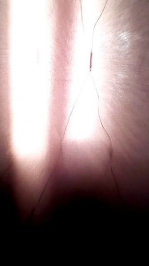 первая трансляция 😂