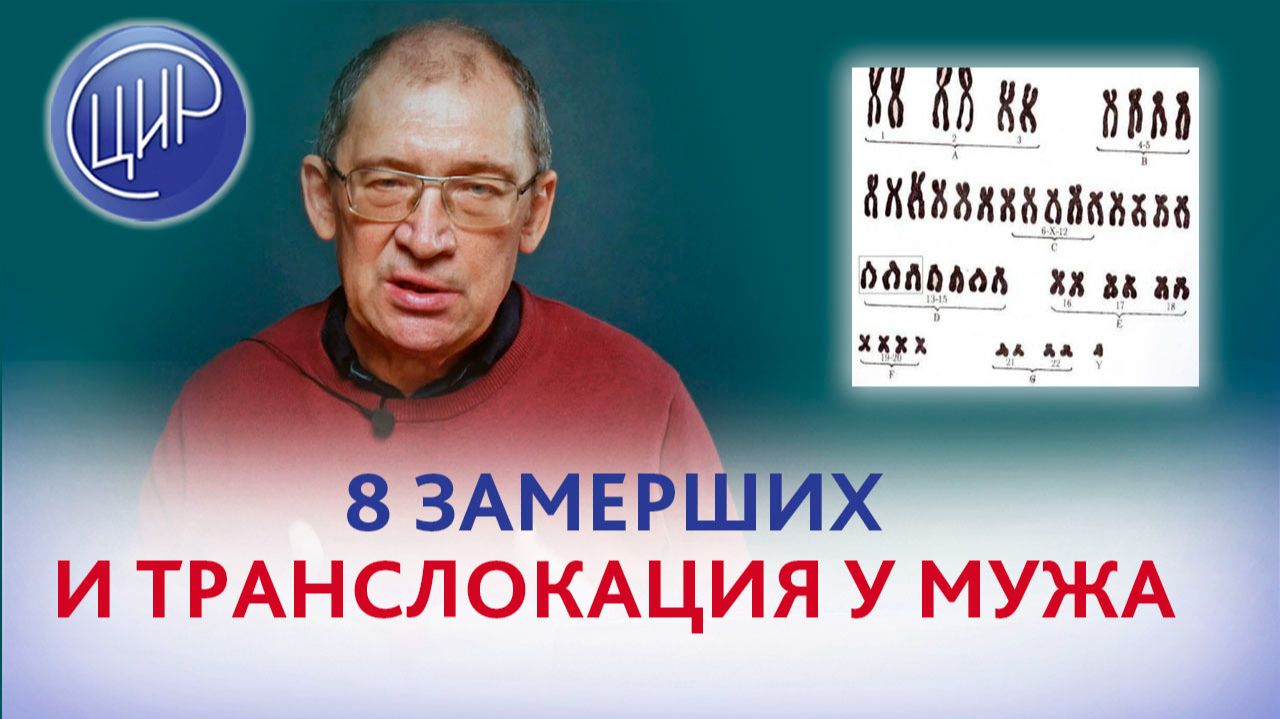 8 замерших беременностей и транслокация у мужа.