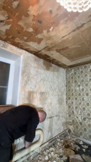 Чем закончилась борьба со стенами? День 7, 8. Спасаю семейный дом.