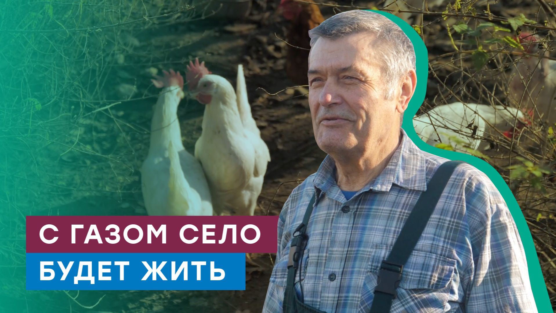Теплее в Доброселье. Газификация деревни в Смоленской области смотреть онлайн