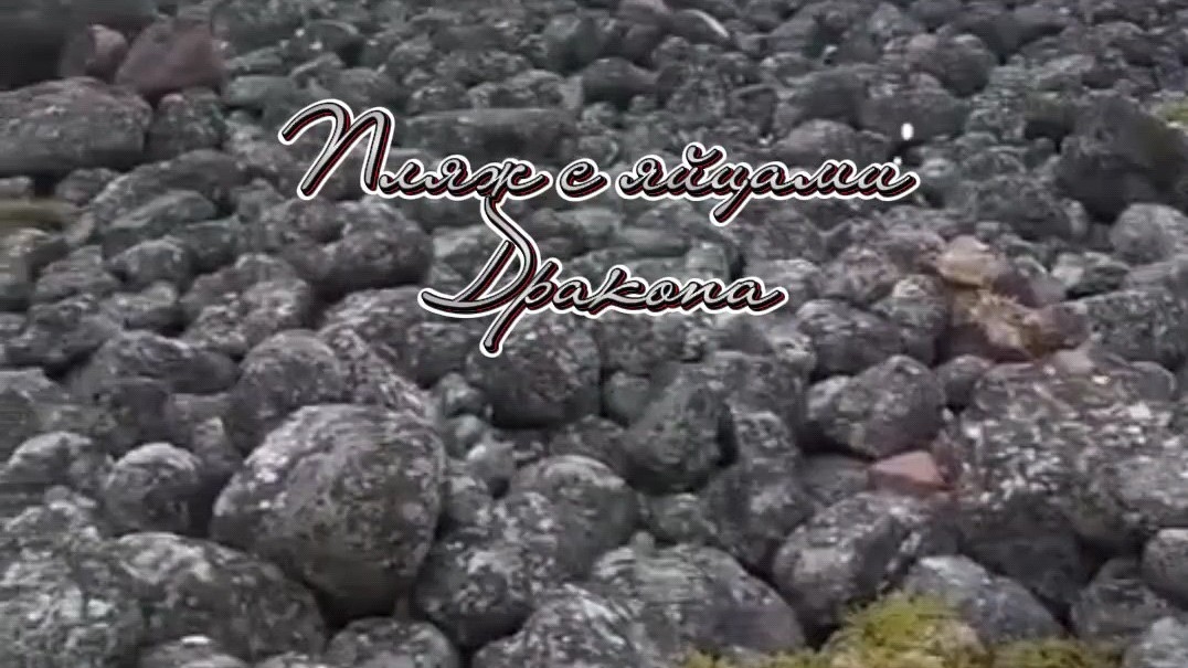 #Берег_Баренцева_моря #пляж_с_яйцами_дракона #Путешествие_в_Териберку