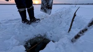 Проверка удочек. 18 день.