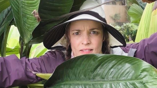 Трейлер ПОМОГИТЕ Выживший смотреть онлайн