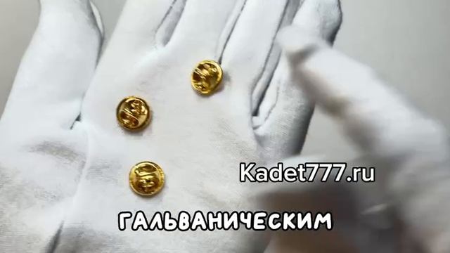 цанга-бабочка