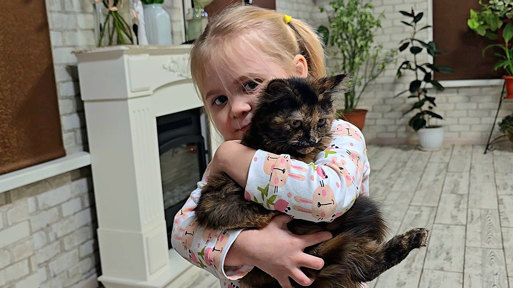 ✨️Хвосты в шоке!✨️Кошачья нянька приехала!✨️ смотреть онлайн