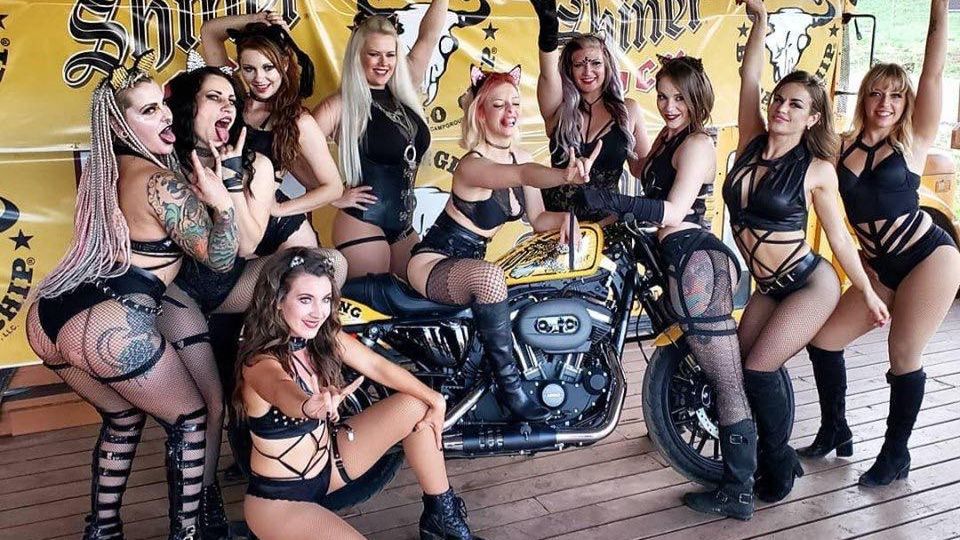 AC DC ~ If You Want Blood, You Got It