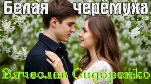 Новинка! Классный Хит! ВЯЧЕСЛАВ СИДОРЕНКО - БЕЛАЯ ЧЕРЁМУХА
