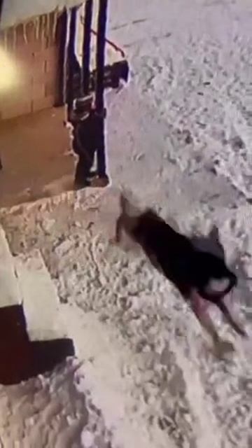 Опыт на всю жизнь обеспечен смотреть онлайн