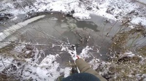 Ловля капканом,Выдра в капкане!проходной капкан.зимняя охота капканами.охота на бобра зимой капканом