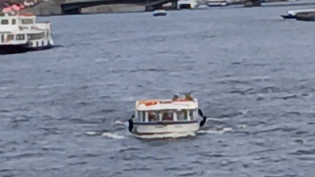 12-10-2025 город санкт- петербург часть-8 смотреть онлайн