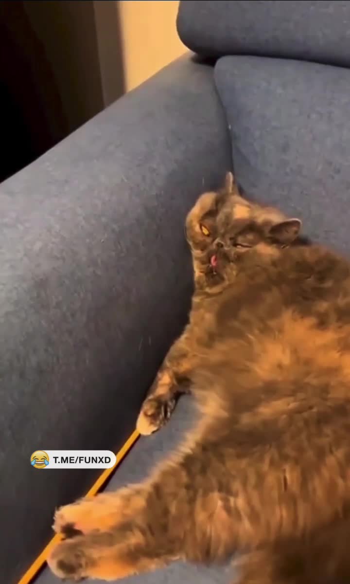 Доброе утро!😅 смотреть онлайн