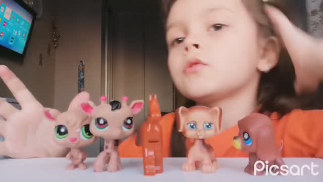 Необычные питомцы. ЛПС