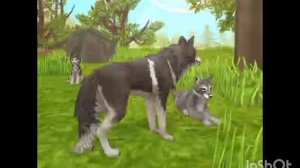 Мини фильм Wildcraft «Дух» 6 серия