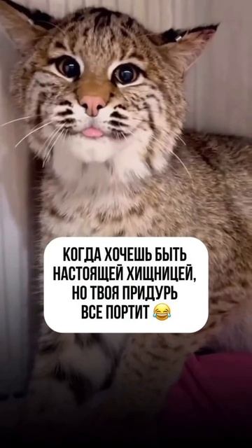 Бывает смотреть онлайн