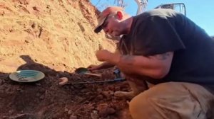 Поиск золота