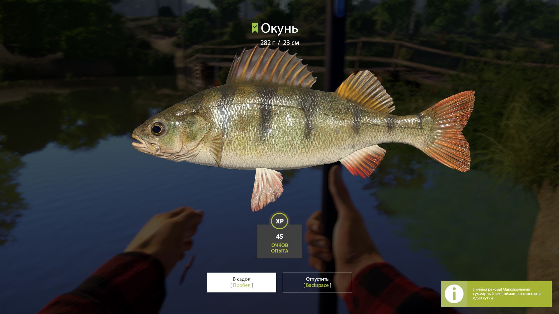 русская рыбалка 4 в деревни