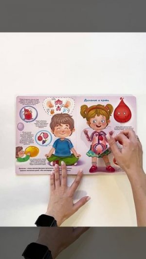 Книжка с окошками МОЯ ПЕРВАЯ АНАТОМИЯ